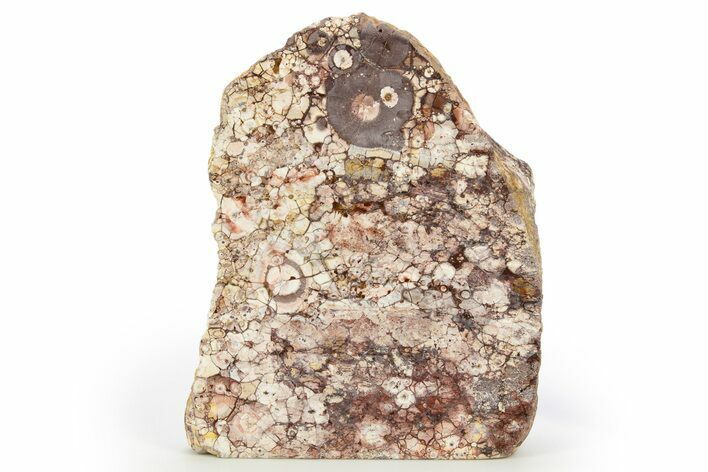 Polished Bird's Eye Jasper (Rhyolite) Stand-Up - Mexico #308281